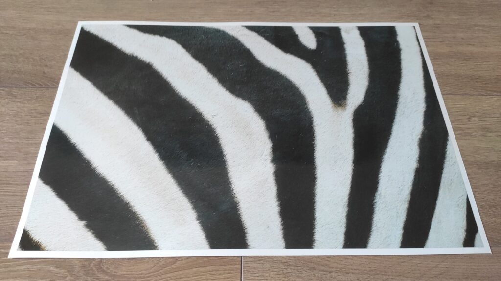 ZEBRA Skin LAPTOP Decal Sticker, ZEBRA Laptop Skin Decal Sticker – Custom Size
