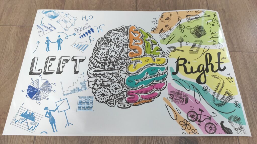 BRAIN Hemispheres Left & Right Skin LAPTOP Decal Sticker, BRAIN Laptop Skin Decal Sticker,  Brain Logic and Arts Laptop Skin – Custom Size