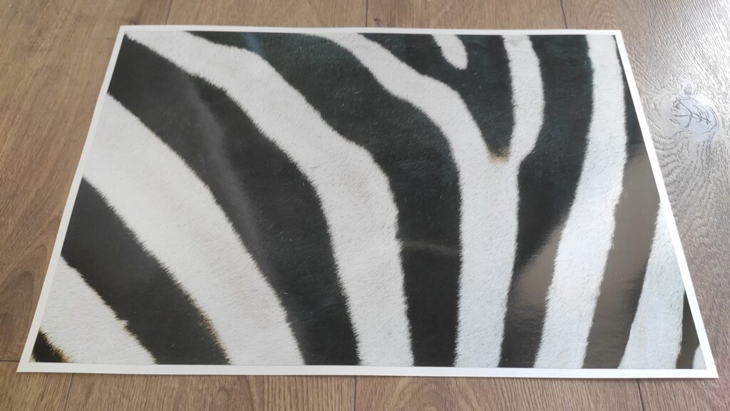 ZEBRA Skin LAPTOP Decal Sticker, ZEBRA Laptop Skin Decal Sticker – Custom Size