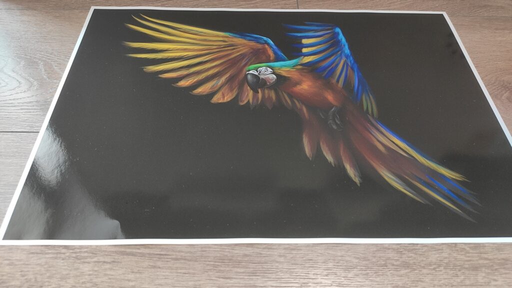 MACAW LAPTOP SKIN Decal Sticker, Parrot Macaw in Flight Laptop Skin Decal – Custom Size