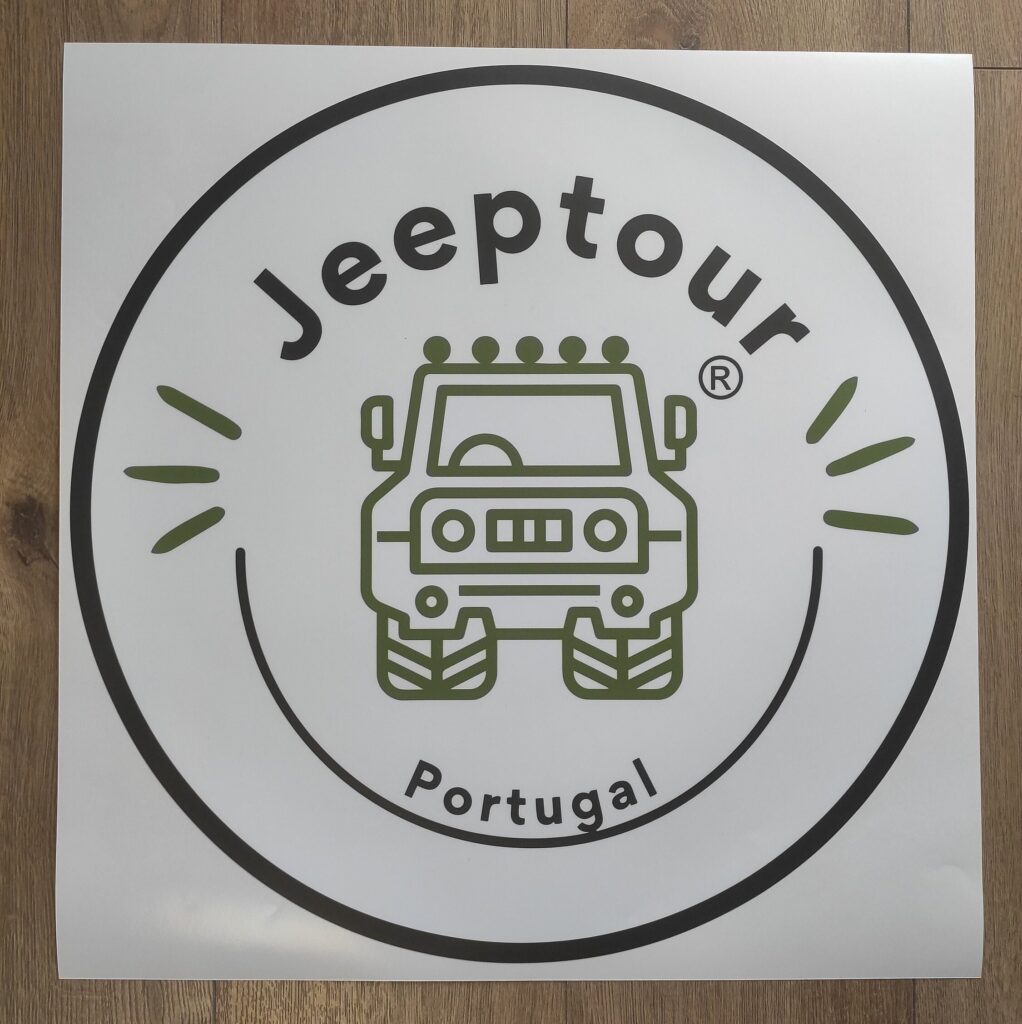 CUSTOM Printed Vehicle LOGO Vinyl Decal Stickers, Your Custom Printed Outdoor Business Logo Vinyl Decal Sticker, Decals Cut To Any Shape