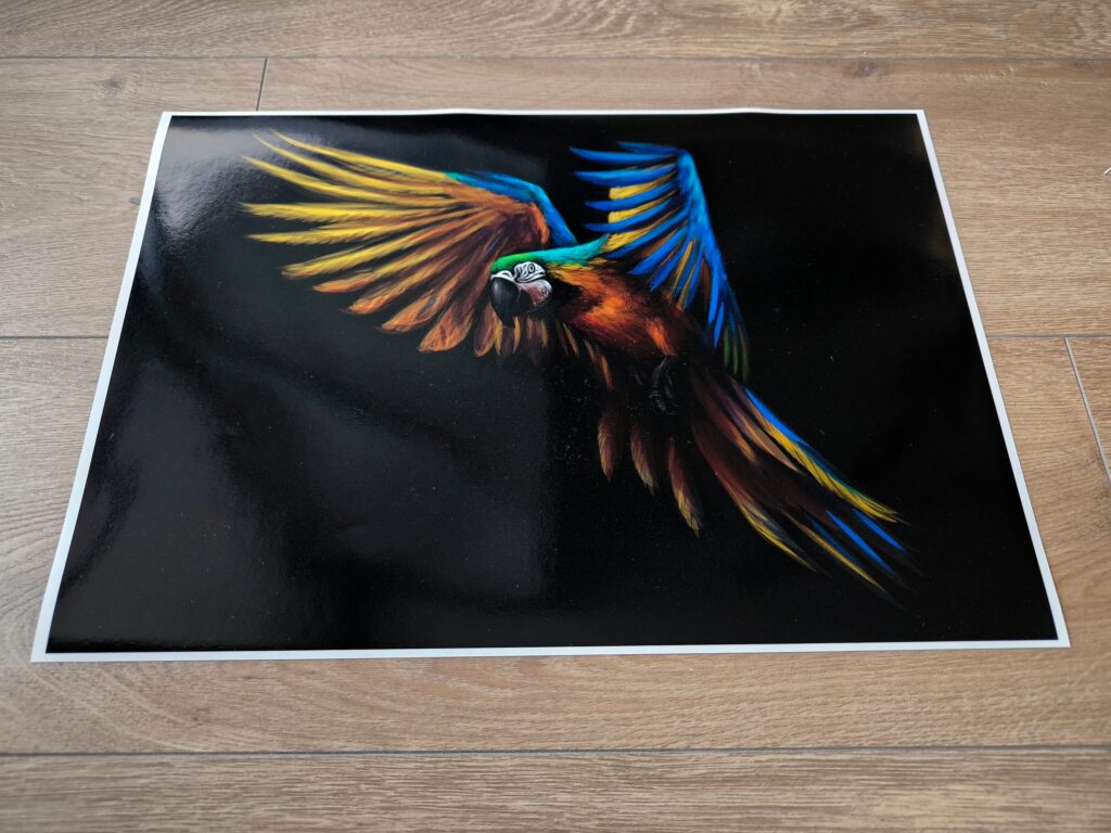 MACAW LAPTOP SKIN Decal Sticker, Parrot Macaw in Flight Laptop Skin Decal – Custom Size