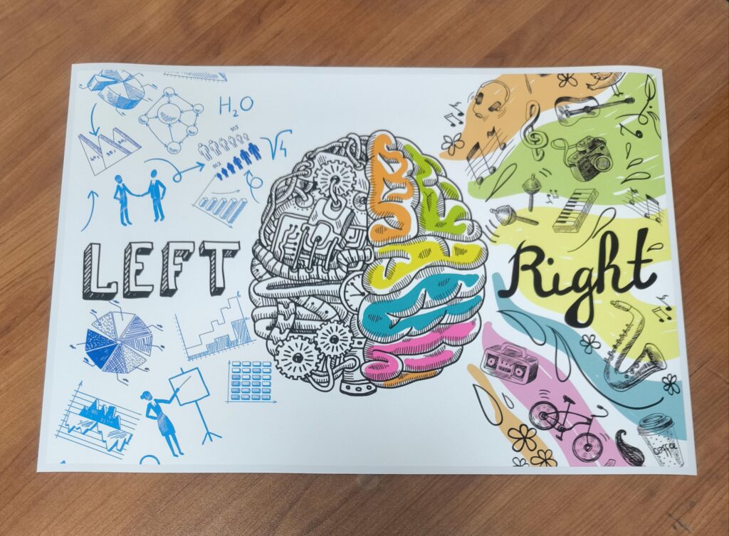BRAIN Hemispheres Left & Right Skin LAPTOP Decal Sticker, BRAIN Laptop Skin Decal Sticker,  Brain Logic and Arts Laptop Skin – Custom Size